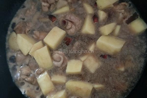 土豆炖鸡腿的做法图解3