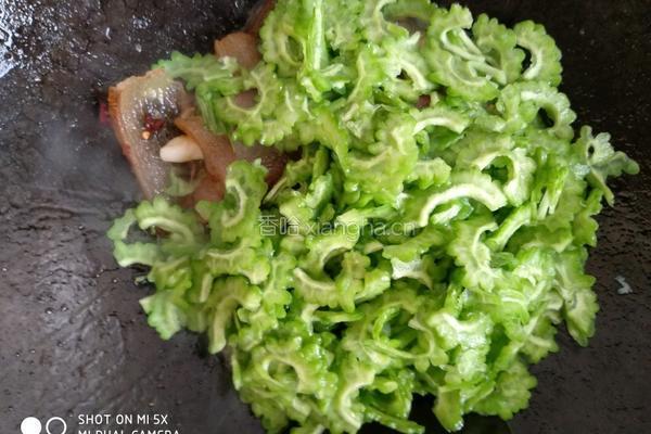 苦瓜炒腊肉的做法图解8