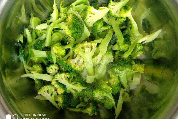 凉拌西兰花的做法图解4