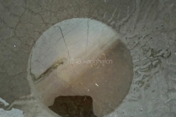 卤面筋的做法图解6