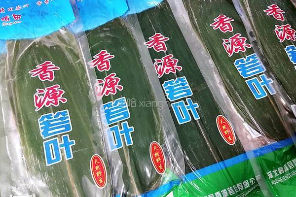 家乡牛角粽的做法图解2