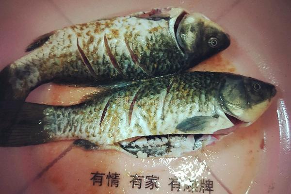 油炸鲤鱼的做法图解1