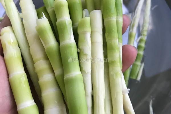 油焖野山笋的做法图解6