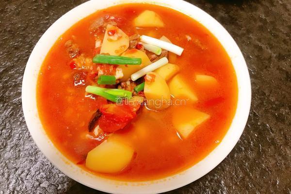 西红柿土豆炖牛腩的做法图解9