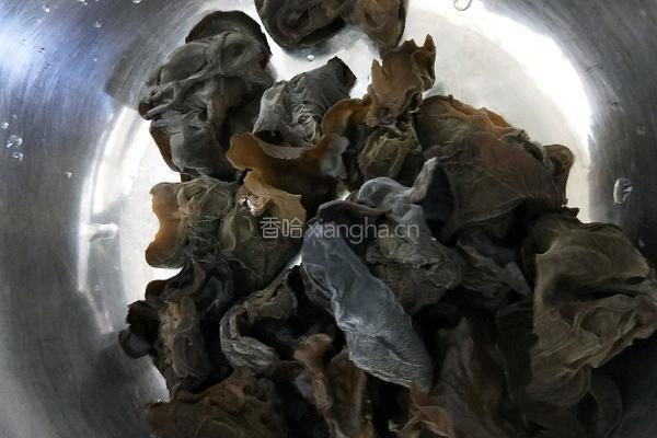 黄瓜丝拌木耳的做法图解1