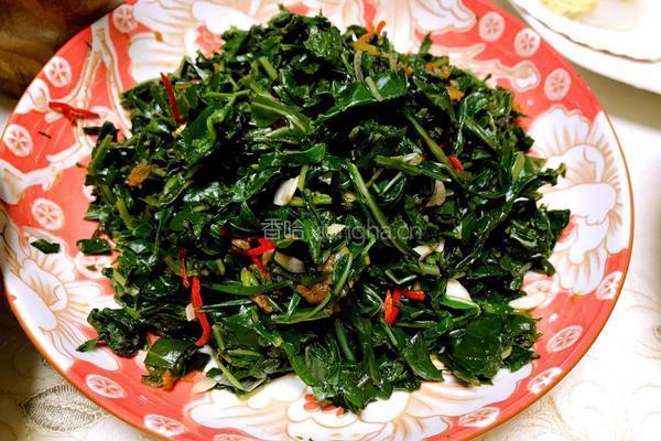 凉拌苦苦菜的做法图解6