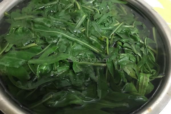 凉拌苦苦菜的做法图解4