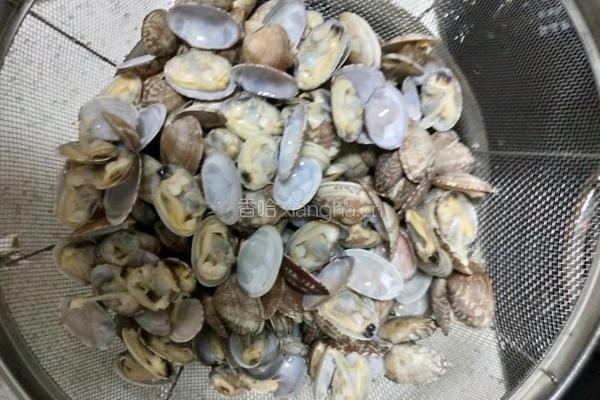 香辣花蛤的做法图解3