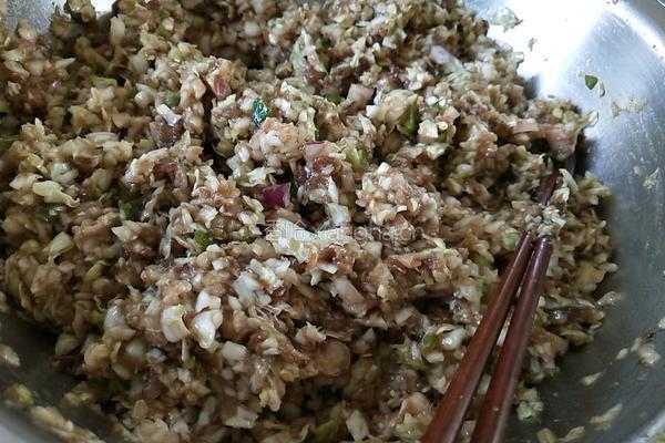 圆白菜馄饨的做法图解2