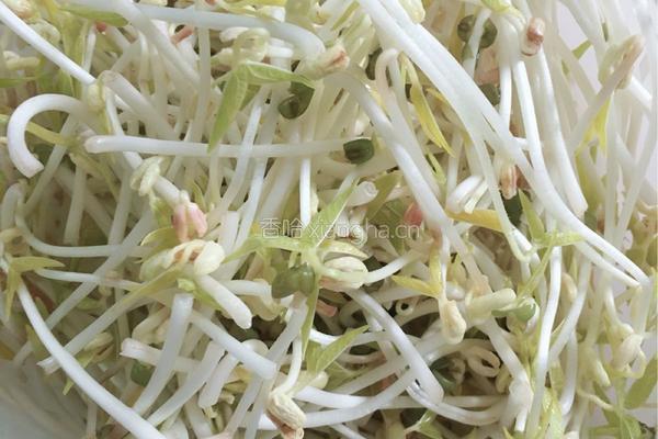 豆芽～抖芽～～～的做法图解11