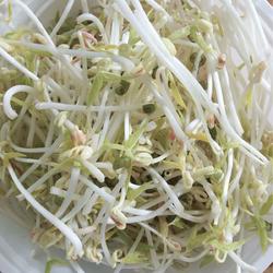 豆芽～抖芽～～～的做法[图]