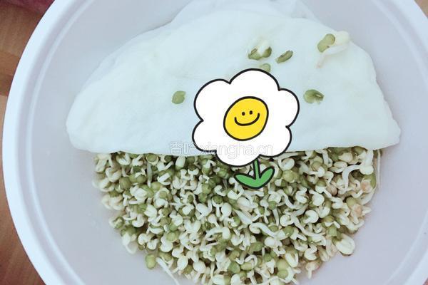豆芽～抖芽～～～的做法图解4