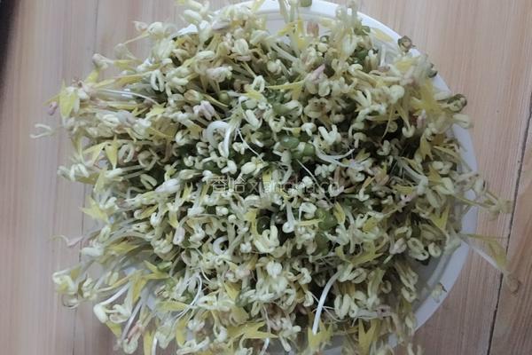 豆芽～抖芽～～～的做法图解8