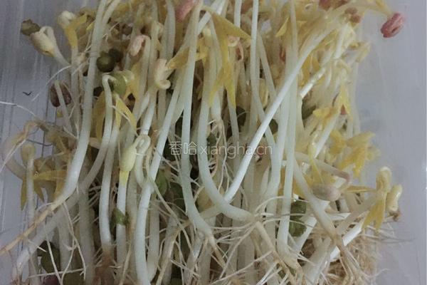 豆芽～抖芽～～～的做法图解10