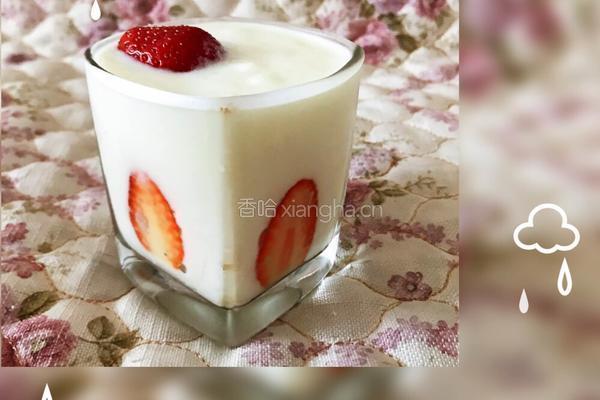 奶粉自制酸奶的做法图解10
