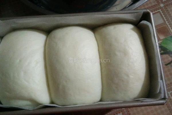 淡奶油吐司(中种)的做法图解9