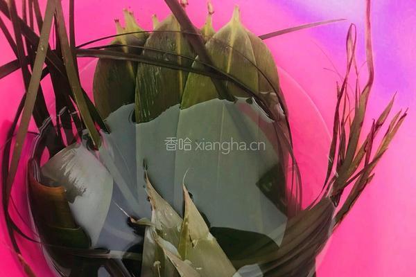 香菇叉烧粽的做法图解2