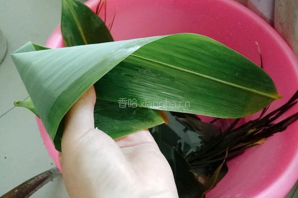 红枣红豆粽的做法图解5