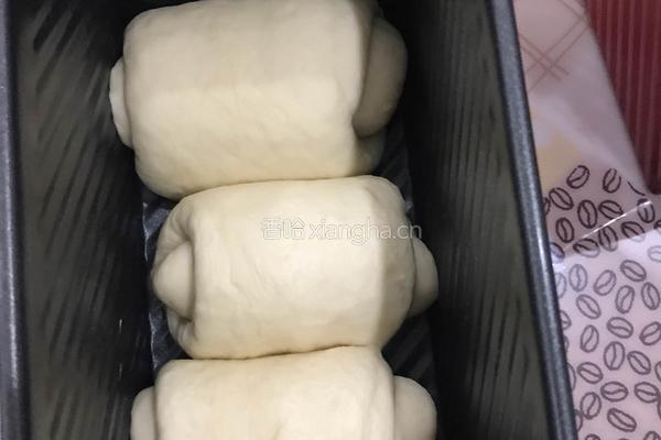 北海道吐司（中种法）的做法图解10