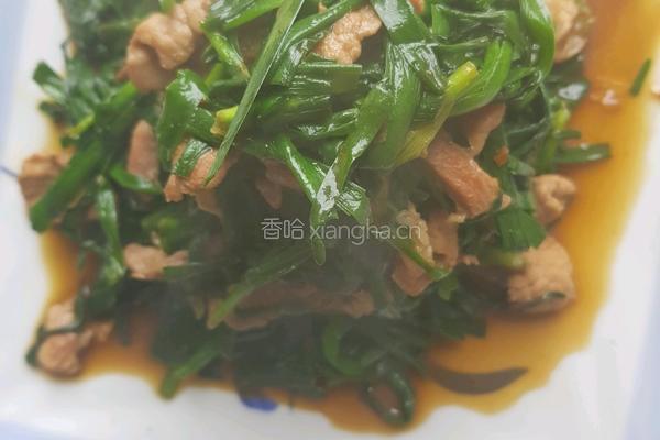 韭菜炒肉的做法图解13
