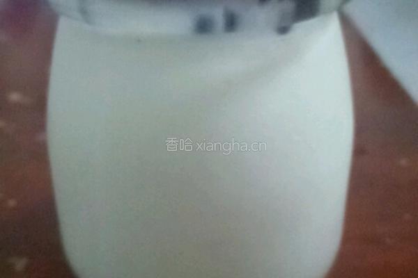 自制酸奶的做法图解6
