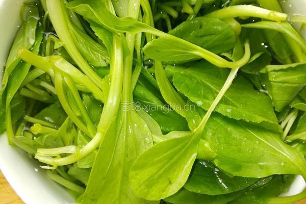 冒菜 改良版毛血旺的做法图解8