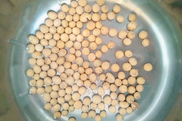 红枣豆浆的做法图解3