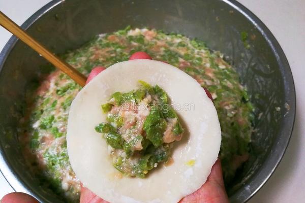 豇豆猪肉水饺的做法图解19