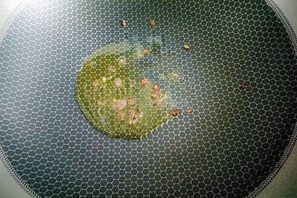 凉拌菜的做法图解9