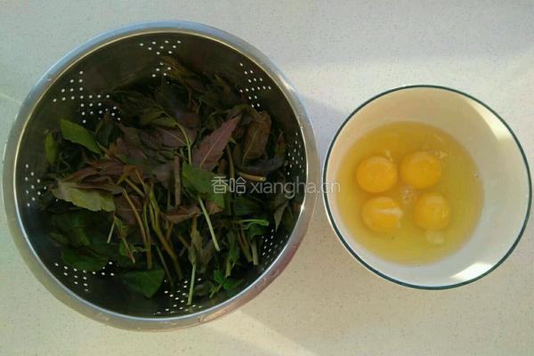 香椿炒鸡蛋的做法图解1