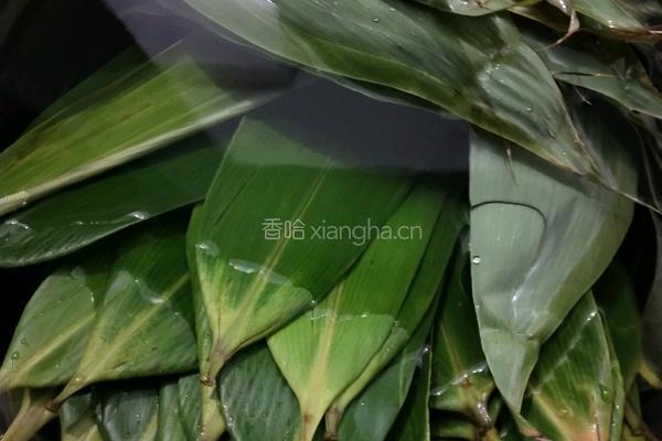 美味的鲜肉粽的做法图解4