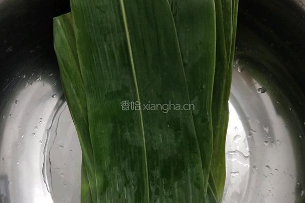 美味的鲜肉粽的做法图解5
