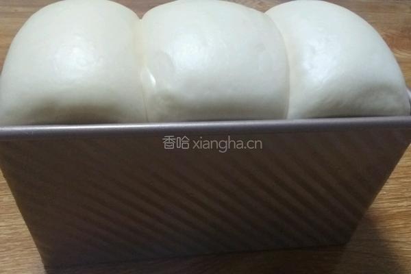 酸奶吐司的做法图解6