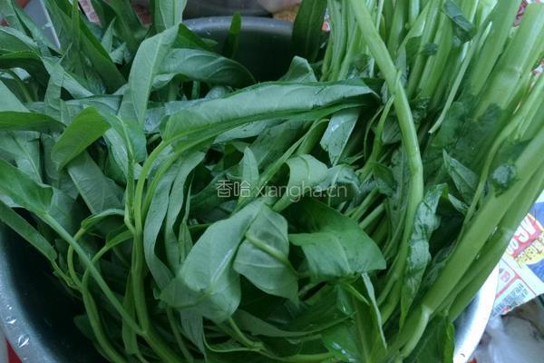 蒜蓉空心菜的做法图解1