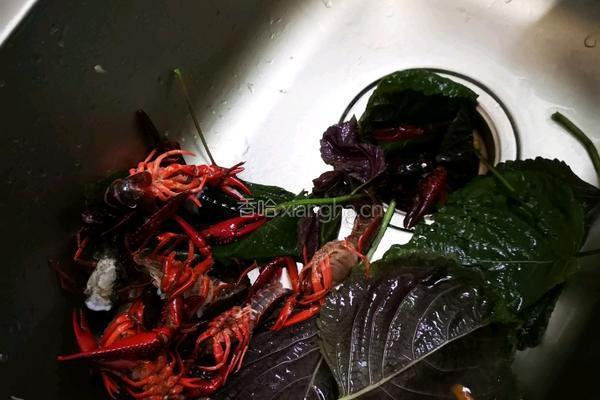 麻辣小龙虾的做法图解1