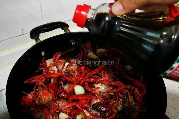 麻辣小龙虾的做法图解10