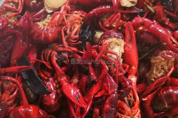 麻辣小龙虾的做法图解15