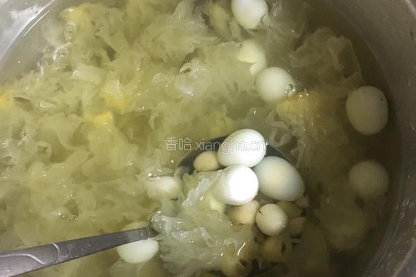 百合银耳糖水的做法图解7