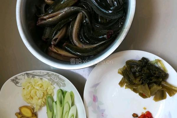 香辣泥鳅的做法图解2