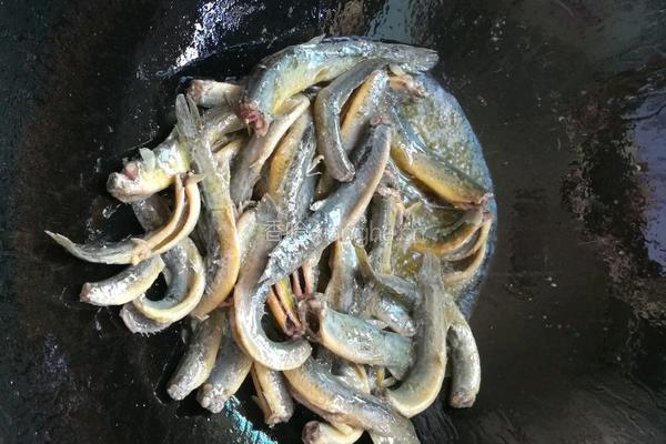 香辣泥鳅的做法图解4