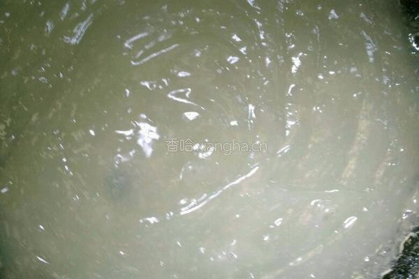 酸辣漏鱼的做法图解5