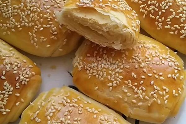 烧饼胚(烤箱版)的做法图解15
