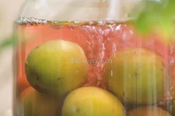 青梅酒||人随时光各自远，蓦然回首，却把青梅酿美酒的做法图解4