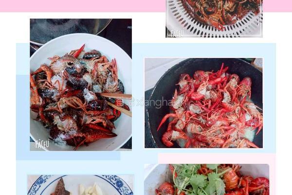 麻辣小龙虾的做法图解3