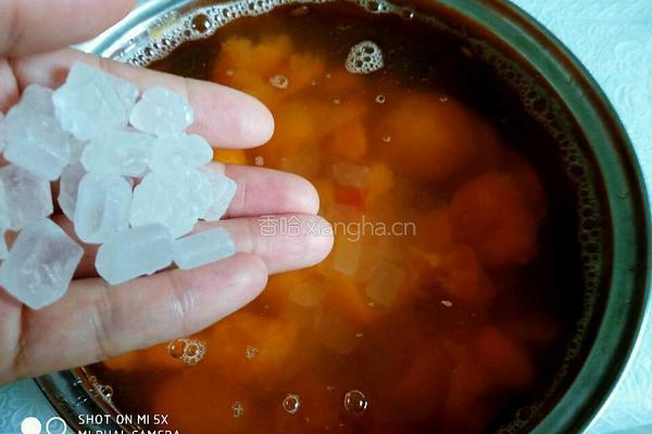 杏露销魂汁的做法图解3