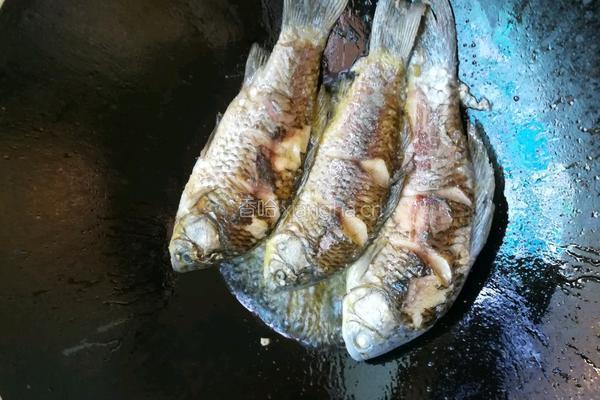 家常鲫鱼的做法图解4