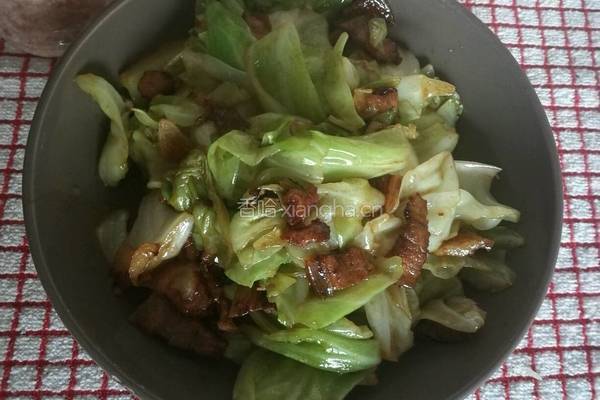 莲花白炒肉的做法图解6