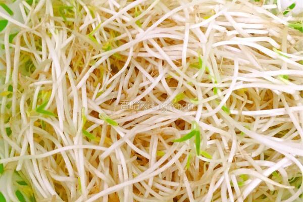 豆芽炒鸡蛋的做法图解1