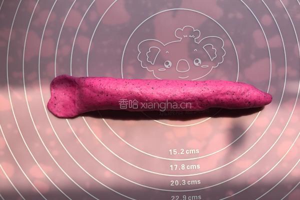 火龙果碱水贝果的做法图解4