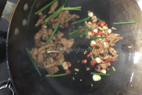 辣味 河粉的做法图解6